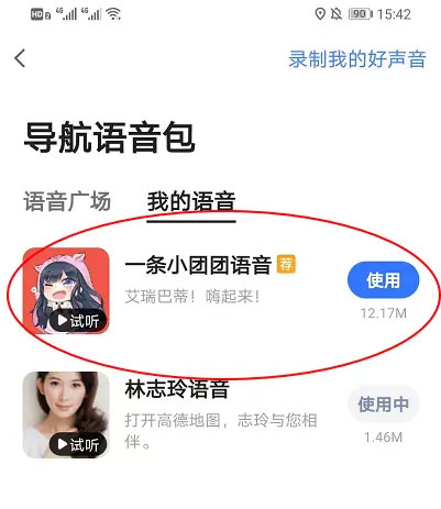 高德地图小团团怎么设置详细模式 高德地图小团团设置教程