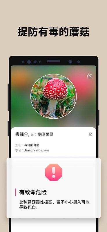 蘑菇识别扫一扫软件中文版(picturemushroom)