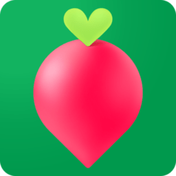 叮咚买菜软件官方版