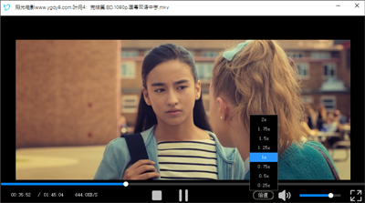 飞鸟下载器怎么使用说明