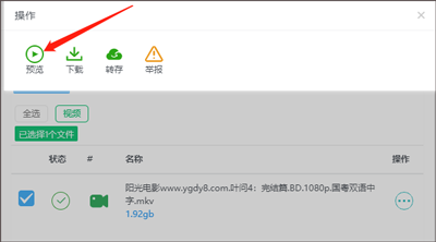 飞鸟下载器怎么使用说明