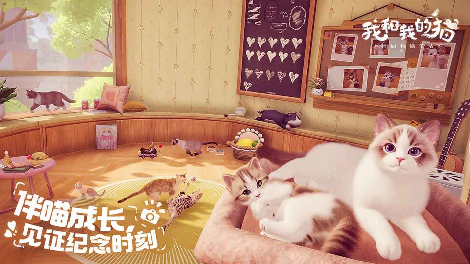 我和我的猫游戏 我和我的猫最新版下载