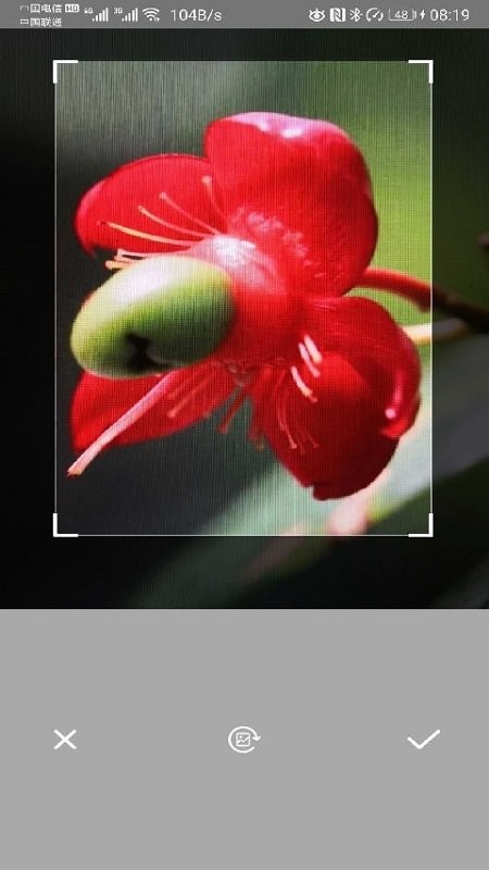 智能拍照识别软件