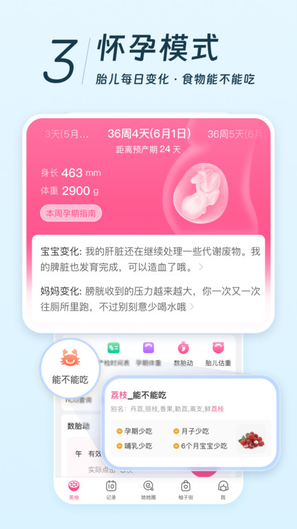 美柚app下载备孕软件
