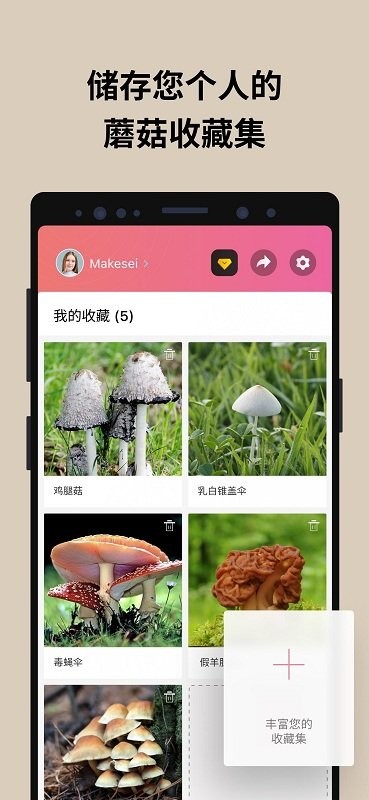 蘑菇识别扫一扫软件中文版(picturemushroom)