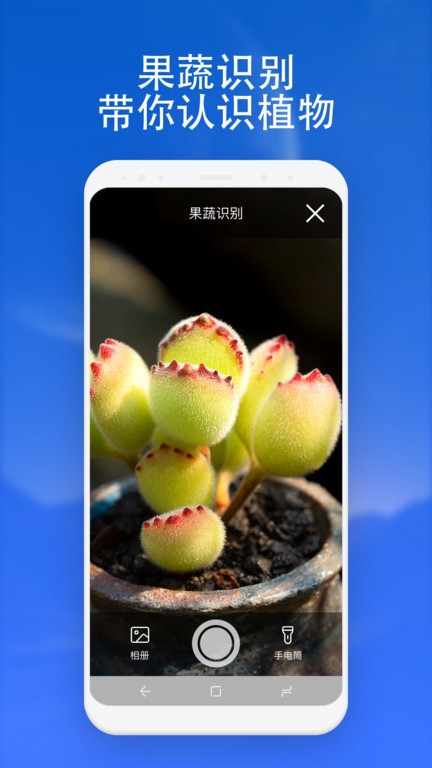 扫描通通识app