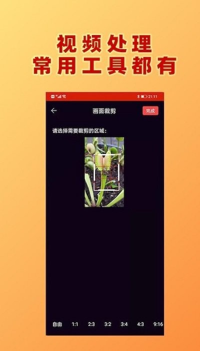 视频加文字软件下载