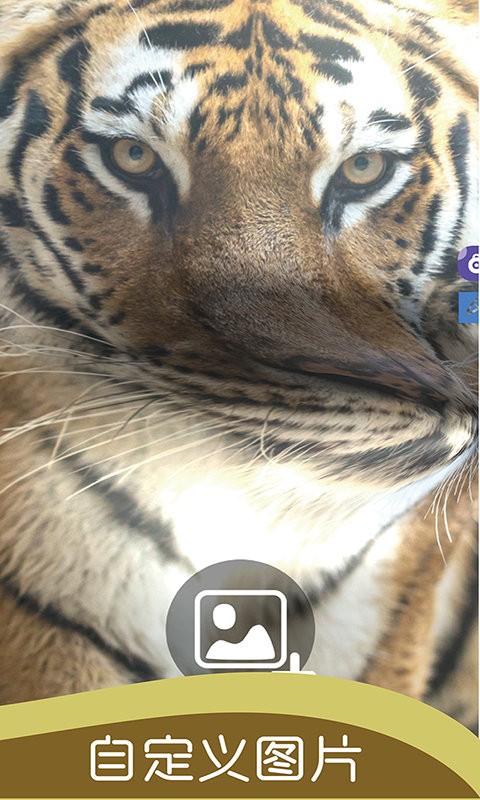 史莱姆模拟器粘液游戏