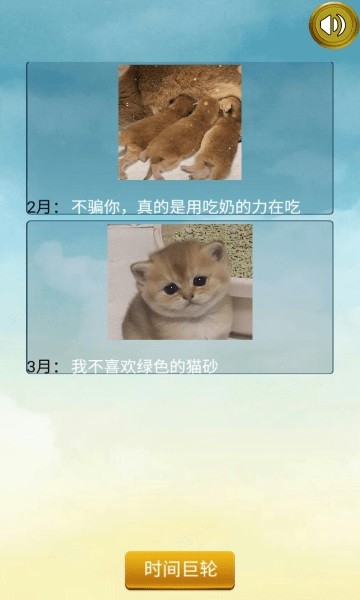 猫的一生重启模拟器小游戏