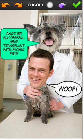 picsaypro完美汉化版 picsaypro中文版下载