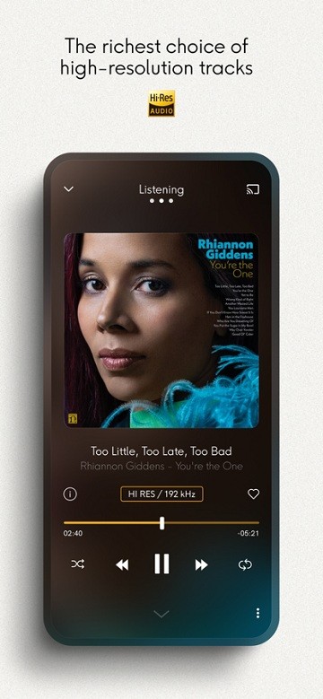 qobuz音乐下载器