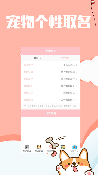 撩宠神器软件下载