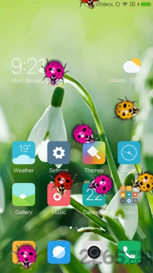 瓢虫恶作剧手机版