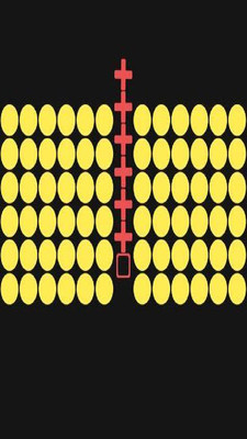 彩色隧道手机版