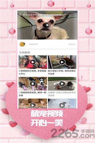 最爱韩剧最新版