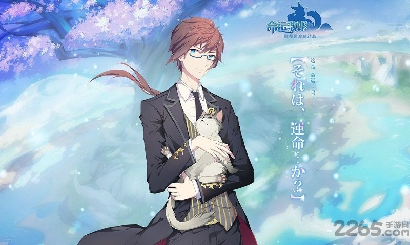 命运歌姬手游盛大版