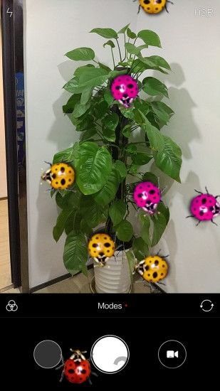 瓢虫恶作剧手机版