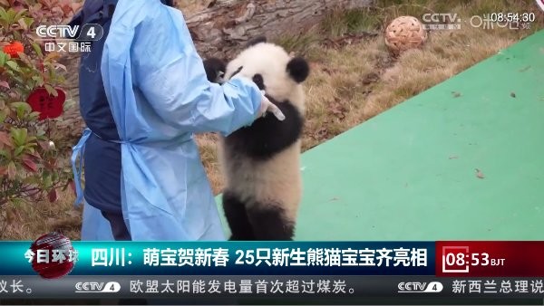 大飞直播tv港澳台软件最新版