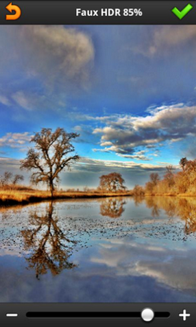 picsaypro完美汉化版