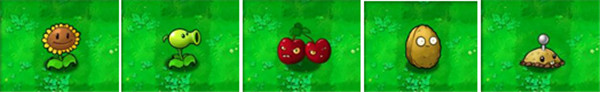 植物大战僵尸游戏攻略 植物大战僵尸植物图鉴