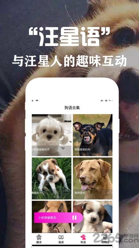 狗语翻译交流器app
