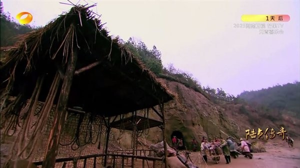 极大电视app最新版本