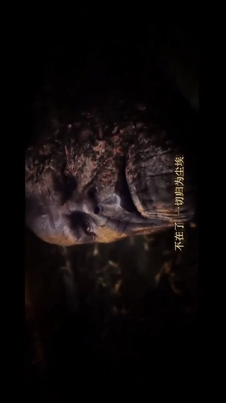 漫威合集手机版