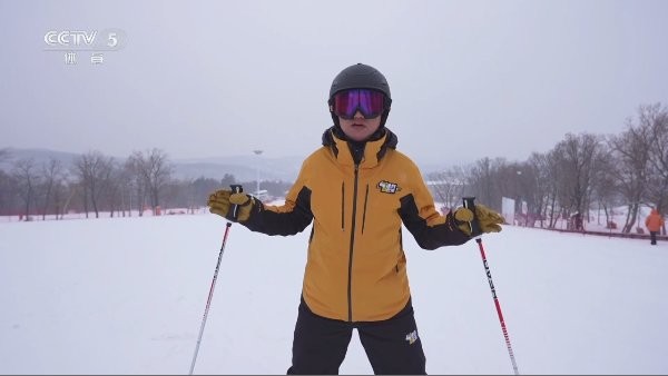 大飞直播tv电视版