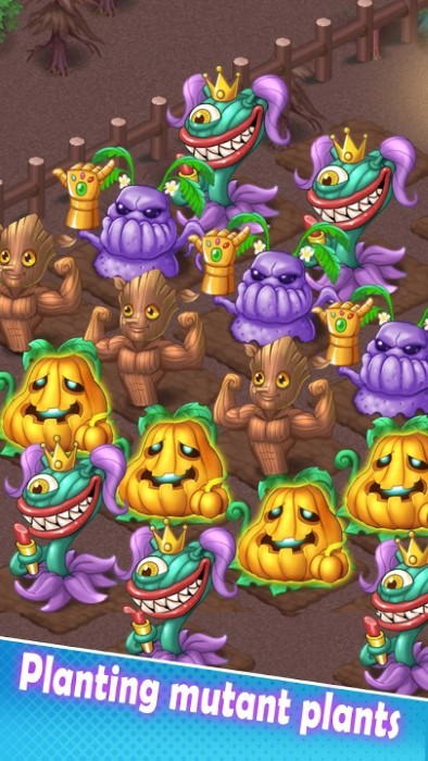 梦幻小院下载安装