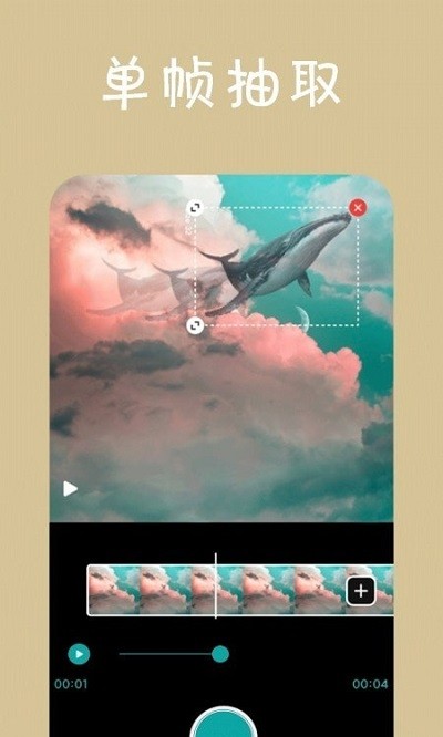 动感视频相册app