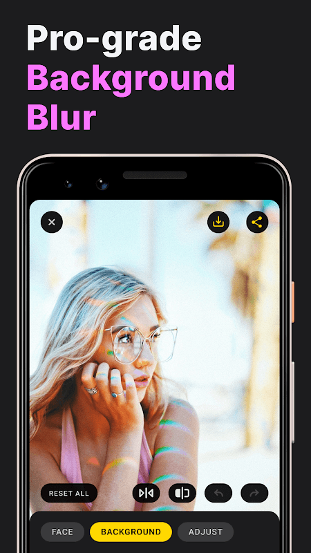 lensa专业版下载