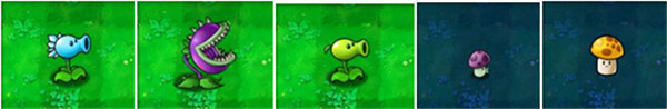 植物大战僵尸游戏攻略 植物大战僵尸植物图鉴