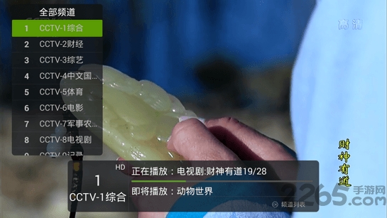 飞沙直播tv版下载
