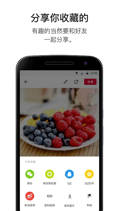 花瓣应用 花瓣应用官方下载