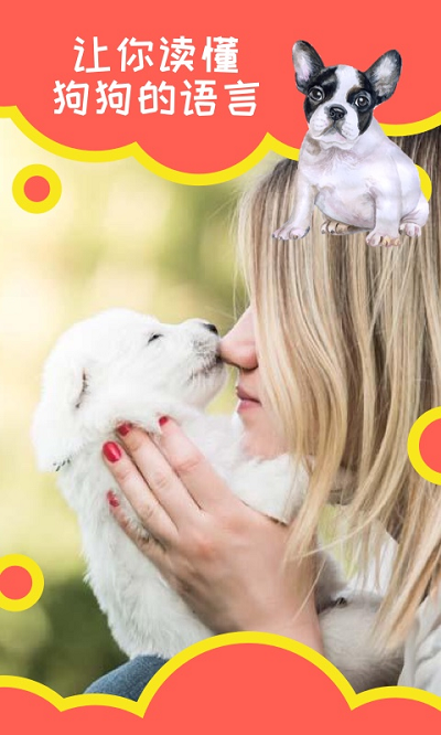 天天头条狗狗助手app