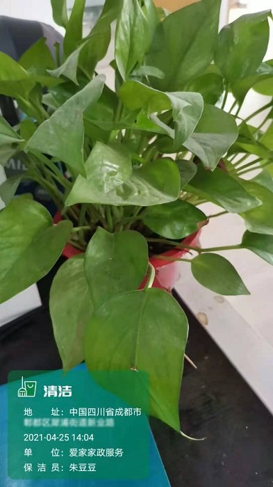 经纬位置打卡相机app