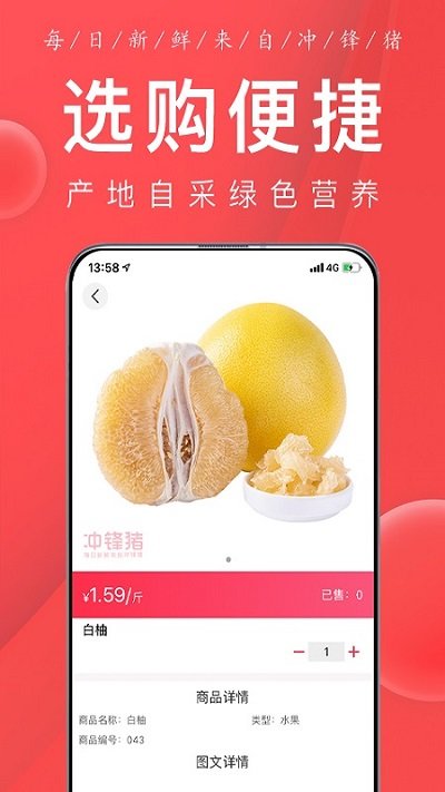 冲锋猪买菜app