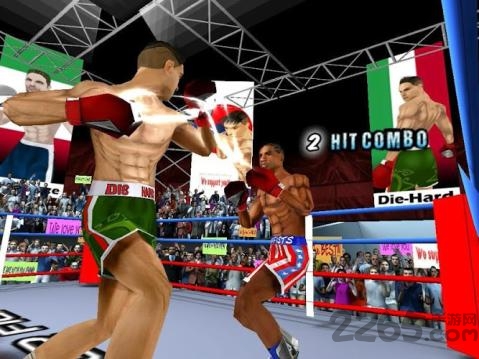 3d拳击对战中文版