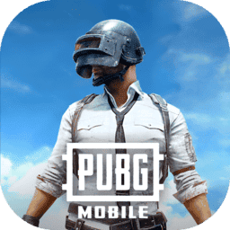pubg国际服下载官方正版-pubg国际服安卓版下载2025最新版本