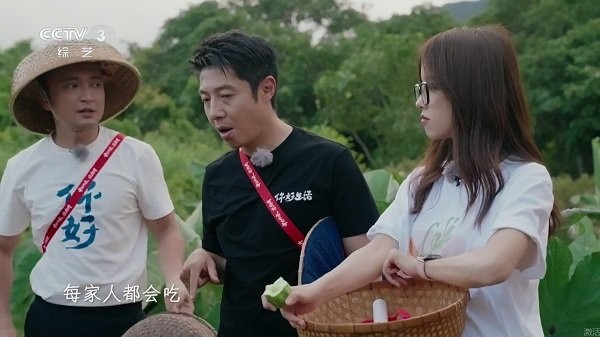 龙电视电视直播