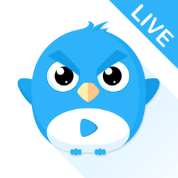 小鹰直播电视版下载-官方最新版本安装