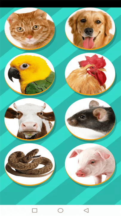 动物交流模拟器app下载