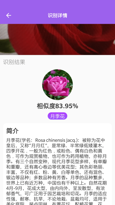 随手拍照识别app 随手拍照识别下载