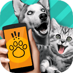 动物交流模拟器下载-动物交流模拟器最新版下载