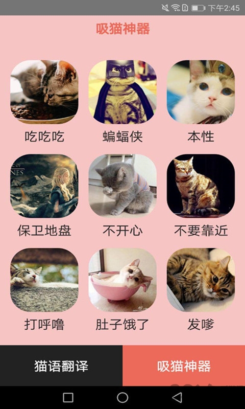 火猫猫语app