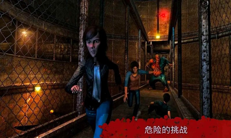 恐怖奶奶冒险游戏