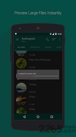 andrognito汉化版