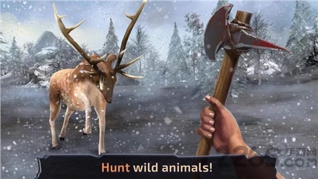 生存岛龙冲突中文版