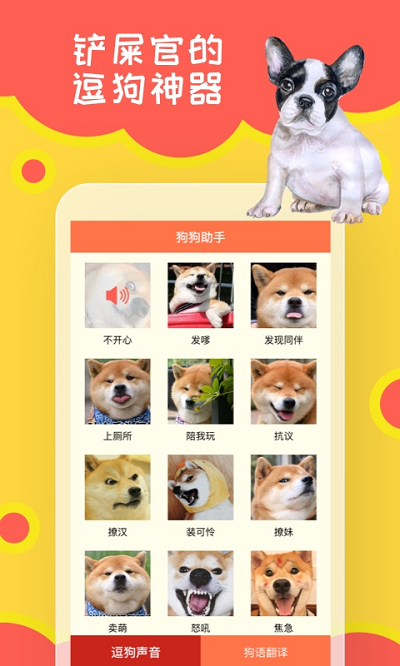 天天头条狗狗助手app