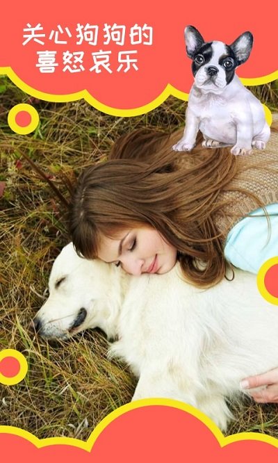 天天头条狗狗助手app